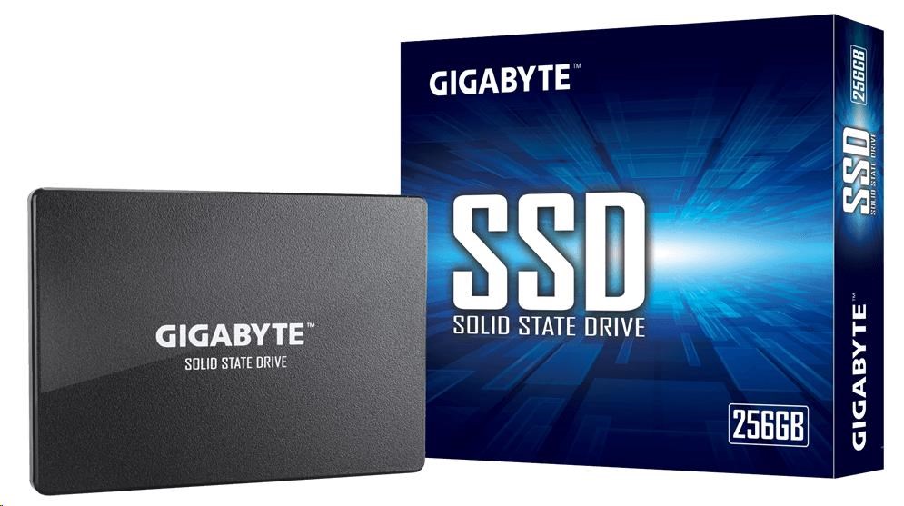 Gigabyte SSD 256GB GP-GSTFS31256GTND