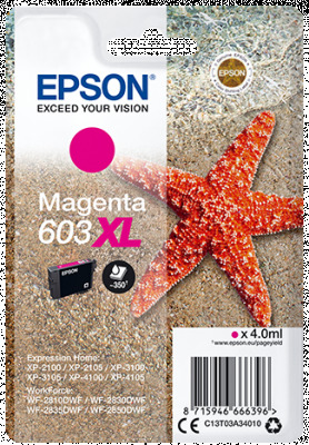 Epson siglepack, Magenta 603XL C13T03A34010