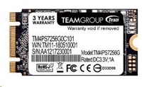 Team SSD M.2 256GB, MS30 2242 TM4PS7256G0C101
