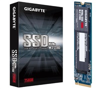 Gigabyte NVMe SSD 256GB GP-GSM2NE3256GNTD