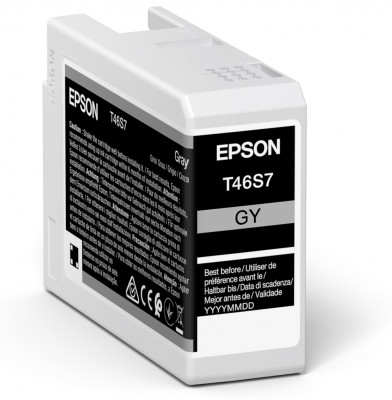Epson Singlepack Gray T46S7 Ultrachrome C13T46S700
