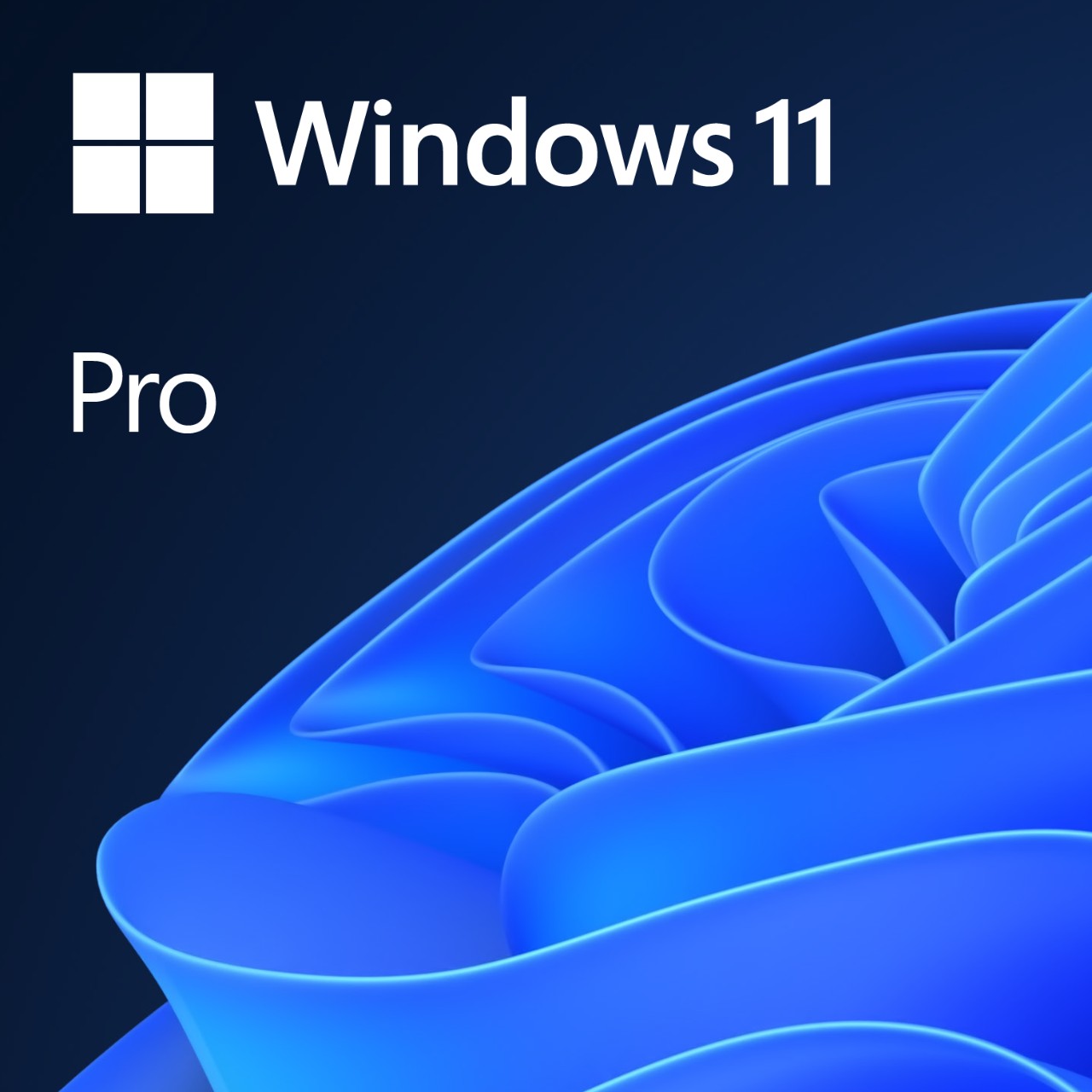 OEM Windows 11 Pro 64Bit Eng 1pk DVD FQC-10528