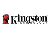 Kingston SSD DC2000B 480GB M.2 PCIe 4.0 NVMe x4 2280 (čtení/zápis: 7000/800MBs) SEDC2000BM8/480G