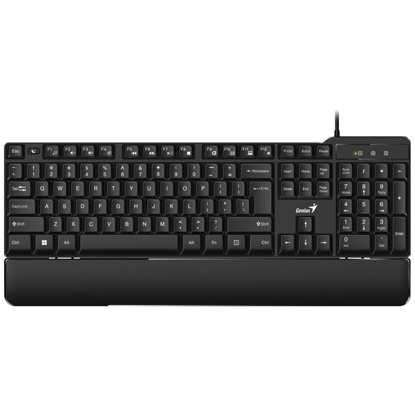 Genius KB-100XP, Klávesnice, drátová, ergo předložka, CZ+SK layout, USB, černá 31310050403